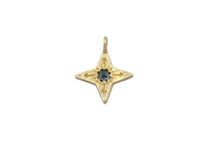 14K Compass Star Pendant with Montana Sapphire